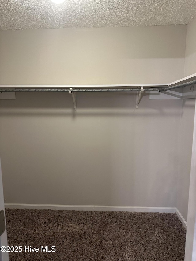 spacious closet featuring carpet