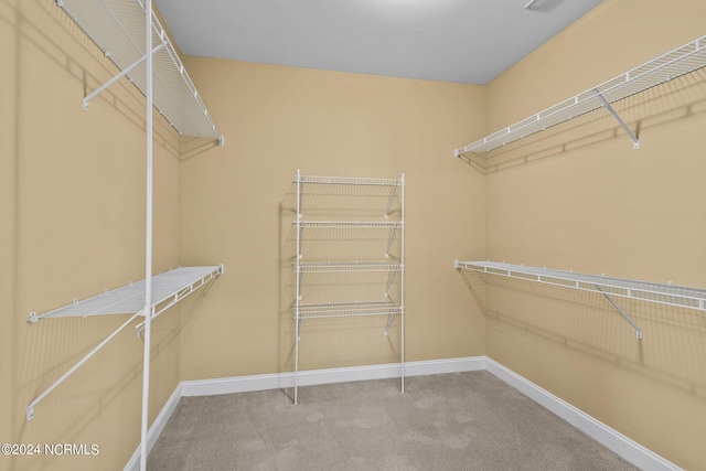 walk in closet with carpet floors