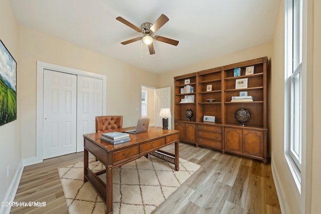 office space featuring ceiling fan and light wood-type flooring