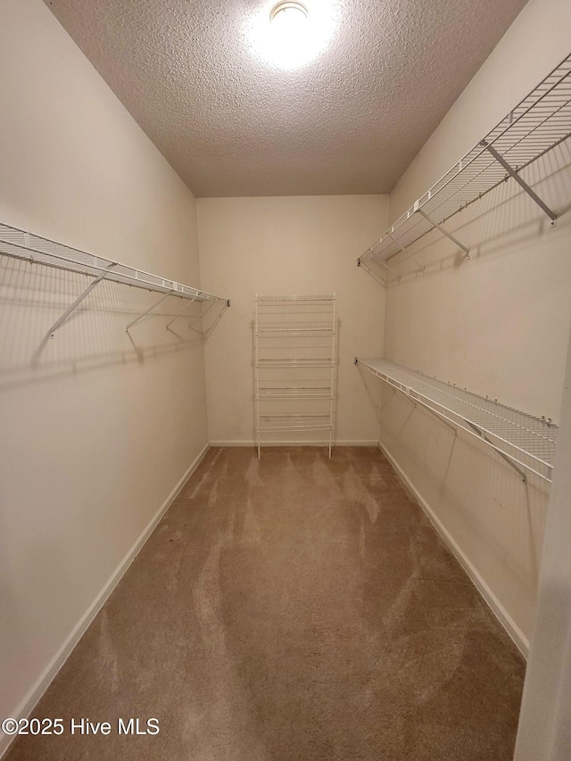 walk in closet featuring carpet