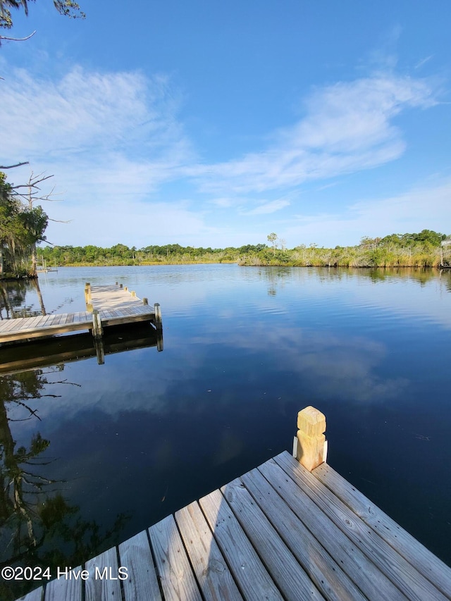 dock area with a water view