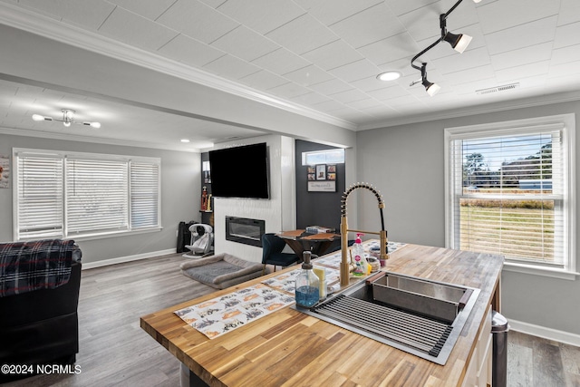 living room with hardwood / wood-style flooring, a fireplace, crown molding, and sink