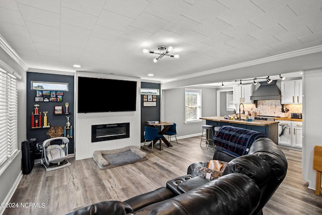 living room featuring a large fireplace, light hardwood / wood-style flooring, ornamental molding, and sink