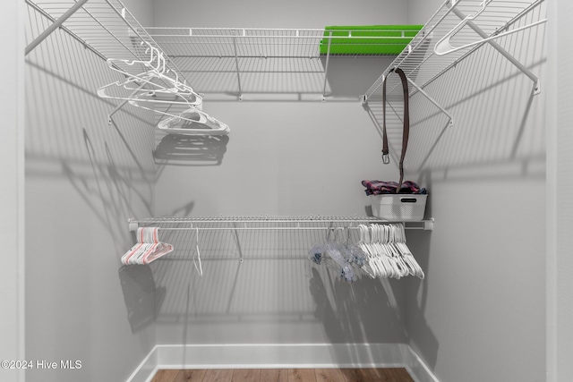 spacious closet featuring wood-type flooring