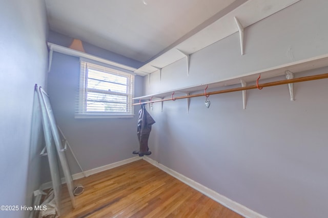 spacious closet with hardwood / wood-style floors