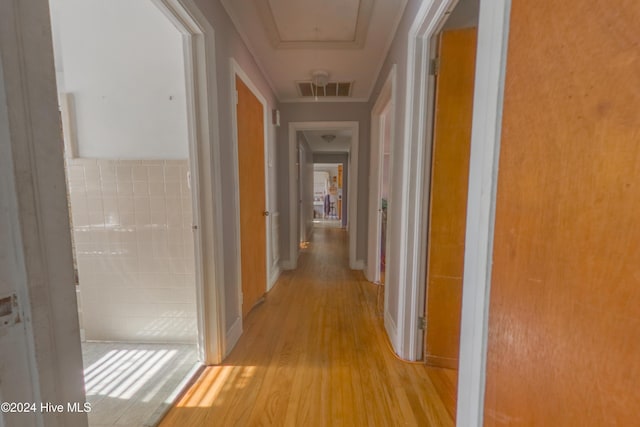 hall featuring light hardwood / wood-style floors