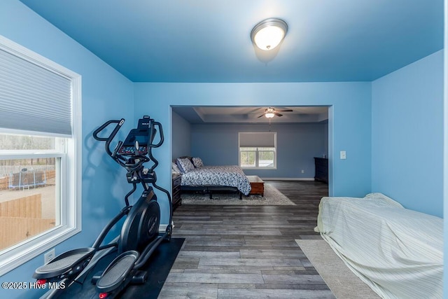 bedroom featuring ceiling fan and dark wood-type flooring