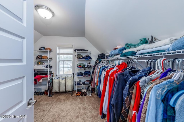 spacious closet featuring carpet flooring and vaulted ceiling