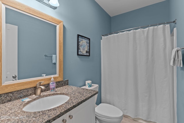 bathroom featuring vanity, a shower with shower curtain, and toilet