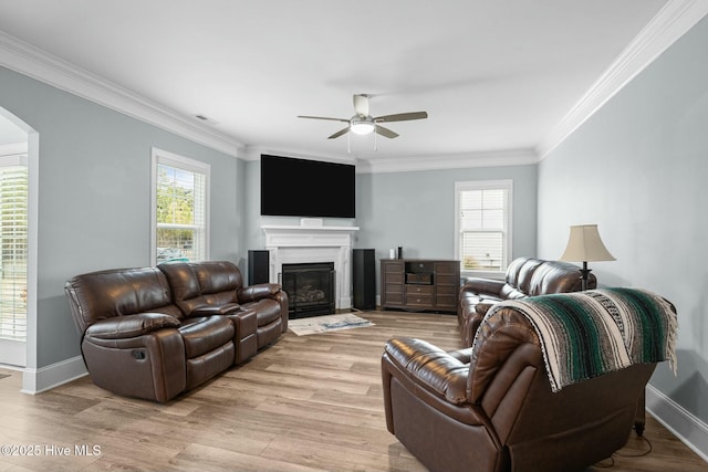 living room featuring ceiling fan, light wood-type flooring, and crown molding