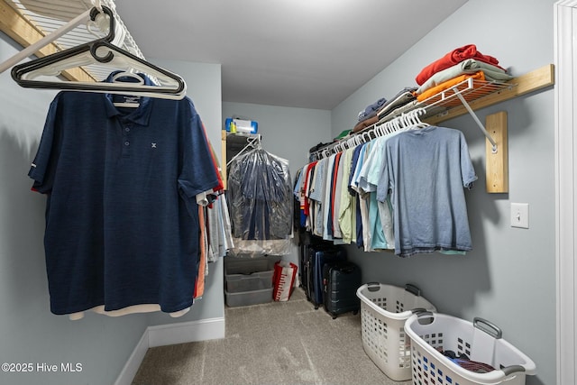 walk in closet with carpet flooring