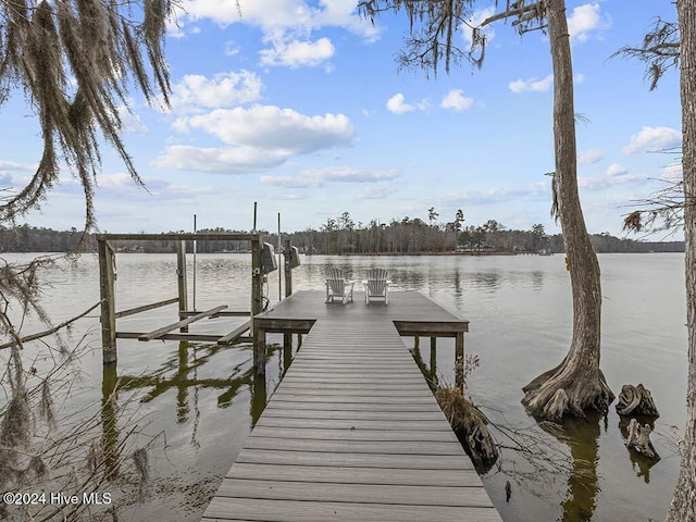 dock area featuring a water view