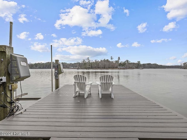 dock area with a water view