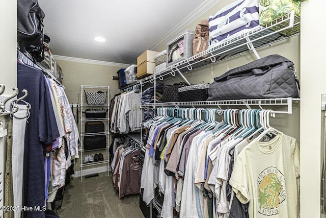 spacious closet featuring carpet