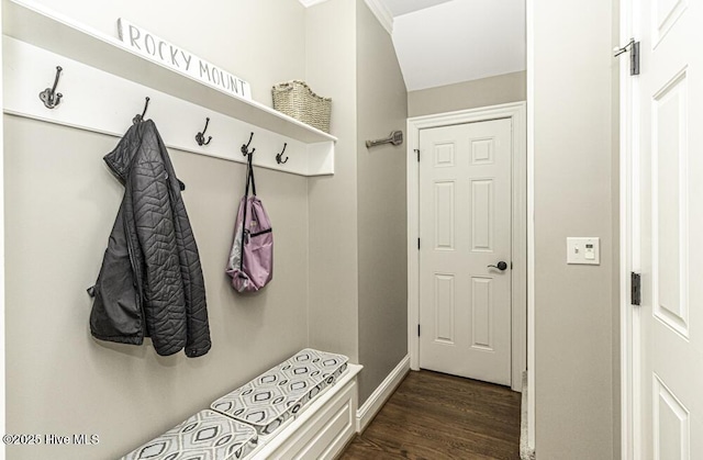 mudroom with dark hardwood / wood-style flooring