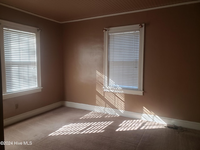 spare room with light colored carpet and crown molding