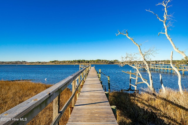 dock area with a water view