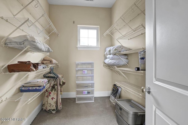 spacious closet with light colored carpet