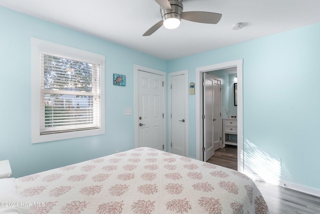 bedroom featuring ceiling fan, dark hardwood / wood-style floors, and connected bathroom