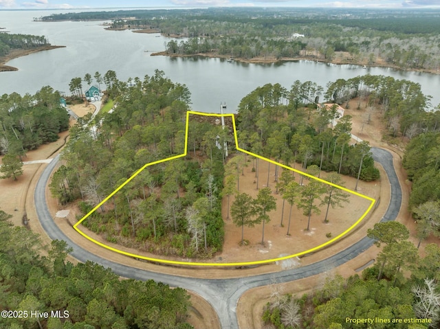 54 Shipwreck Drive 54 & 55, Belhaven NC, 27810 land for sale