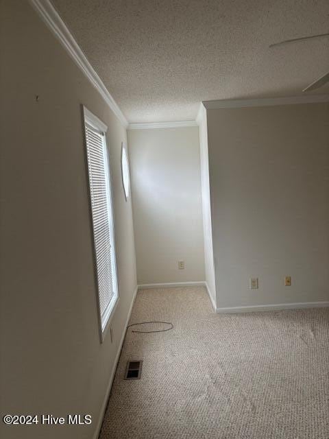 carpeted spare room with ornamental molding and a textured ceiling