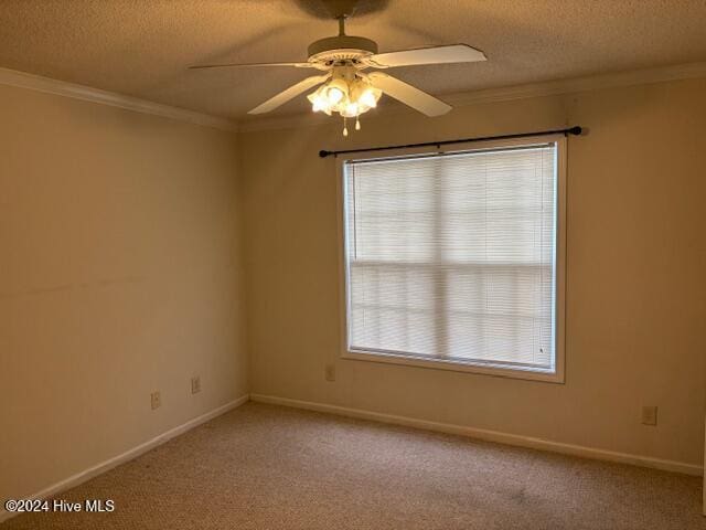 spare room featuring a textured ceiling, carpet floors, and a wealth of natural light