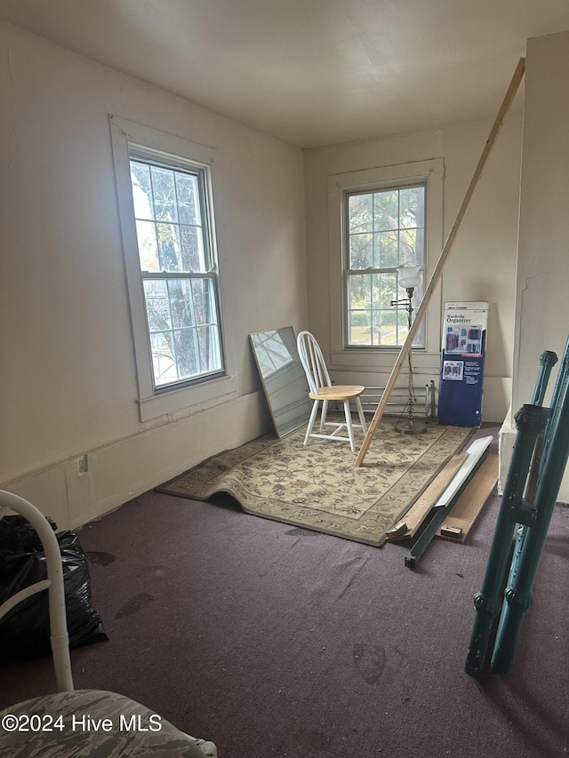 interior space featuring carpet flooring and a healthy amount of sunlight