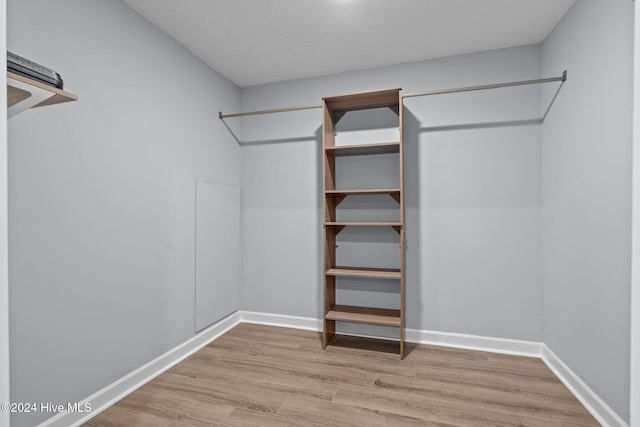 spacious closet with light wood-type flooring