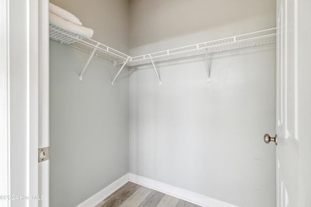 walk in closet with light wood-type flooring