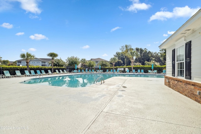 view of swimming pool featuring a patio