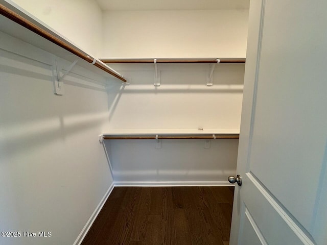 spacious closet featuring wood finished floors