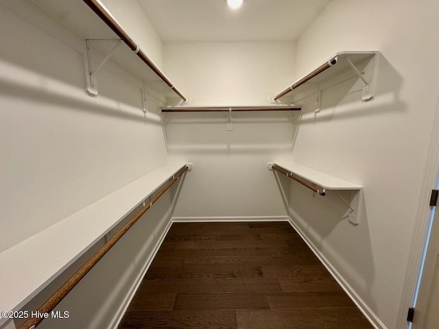 walk in closet with dark wood-style floors