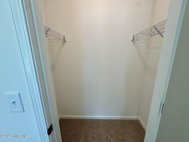 spacious closet featuring carpet