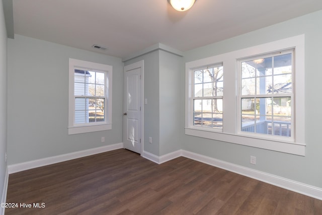 spare room featuring a healthy amount of sunlight and dark wood-type flooring