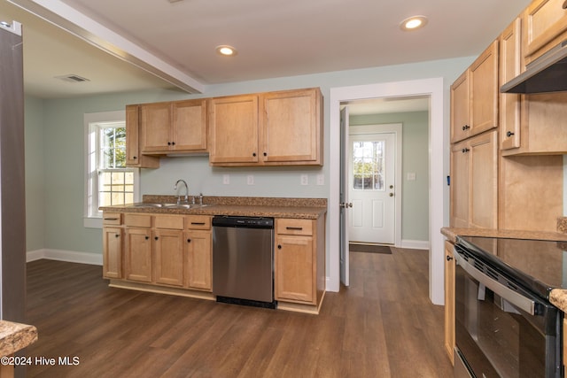 kitchen with dark hardwood / wood-style flooring, dishwasher, and plenty of natural light