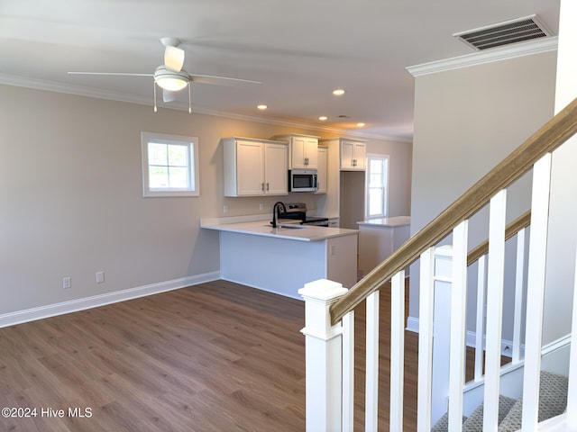 carpeted spare room with ceiling fan and ornamental molding