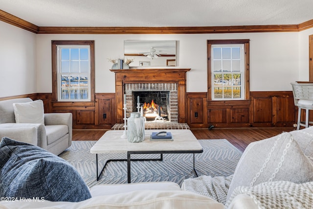 living room featuring a textured ceiling, a fireplace, wainscoting, and wood finished floors