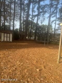 view of yard featuring a storage shed