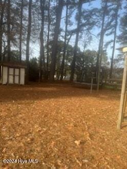 view of yard featuring a storage unit