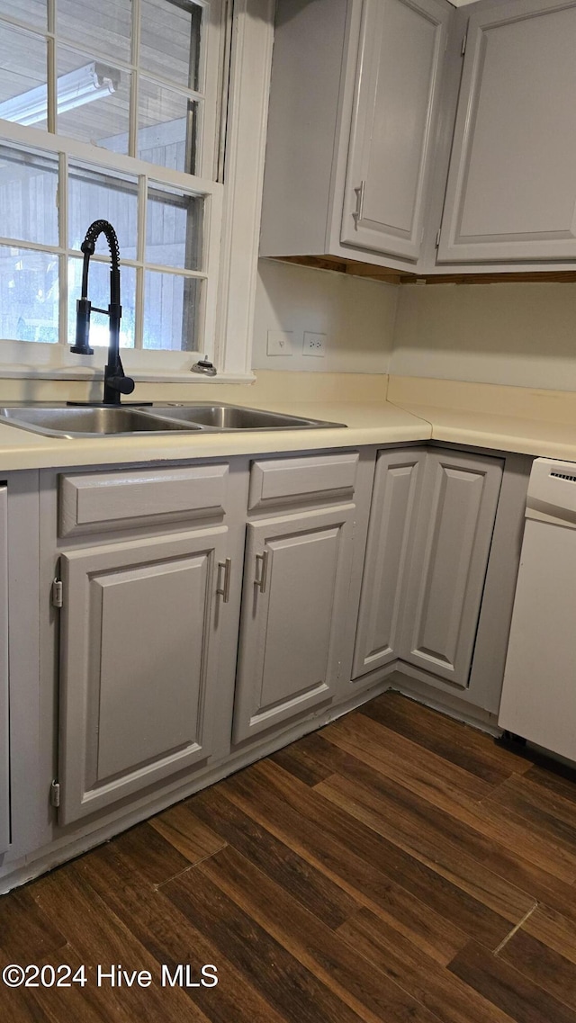 kitchen with dishwasher, sink, and dark wood-type flooring