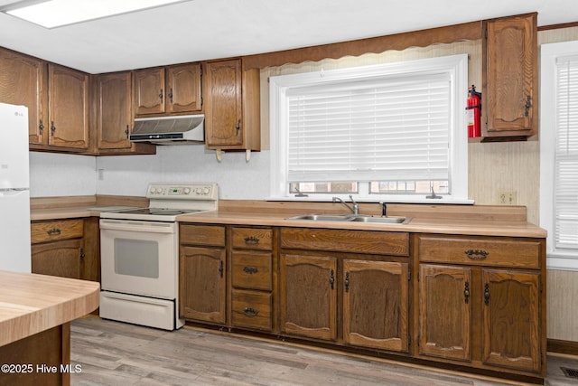 kitchen featuring white appliances, light hardwood / wood-style flooring, a healthy amount of sunlight, and sink