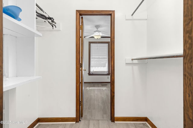 spacious closet with ceiling fan and light hardwood / wood-style flooring