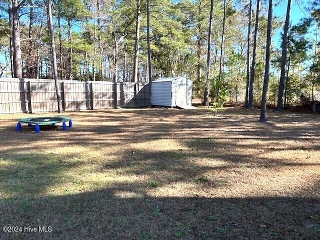 view of yard featuring a storage unit