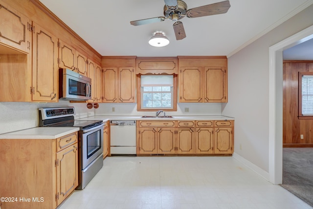 kitchen with stainless steel appliances, plenty of natural light, ornamental molding, and sink