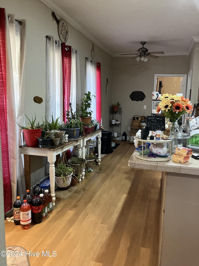 dining room with hardwood / wood-style floors, ceiling fan, and crown molding