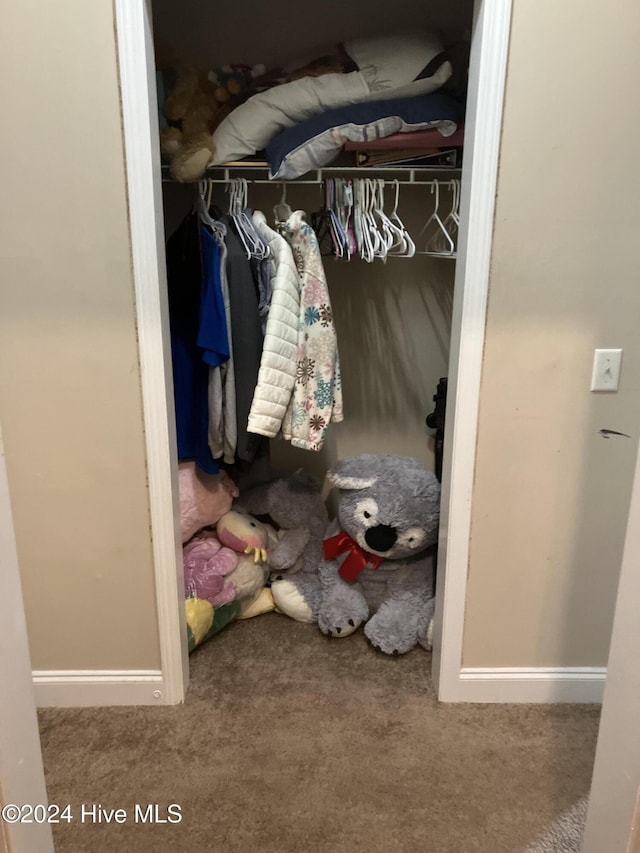 view of closet