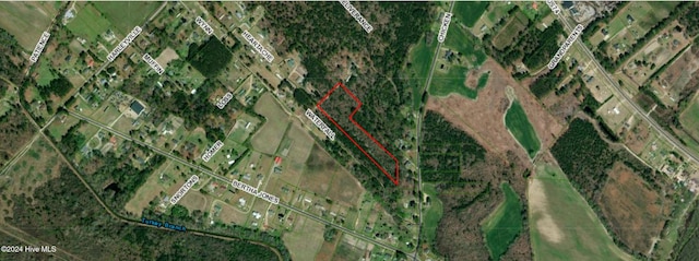 NEAR536 Chicken Rd, Rowland NC, 28383 land for sale