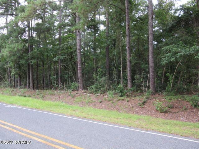 NEAR484 John Spaulding Rd, Clarkton NC, 28433 land for sale