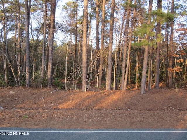 Listing photo 2 for NEAR484 John Spaulding Rd, Clarkton NC 28433