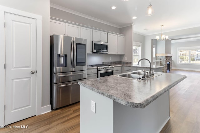 kitchen with hanging light fixtures, stainless steel appliances, light hardwood / wood-style flooring, a chandelier, and a kitchen island